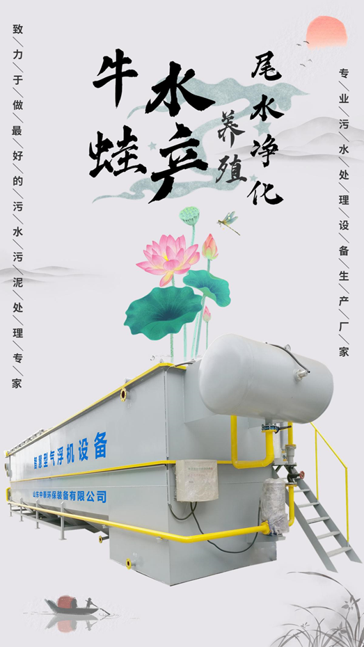 中泰環(huán)保氣浮機(jī)為牛蛙養(yǎng)殖尾水處理“支大招”！